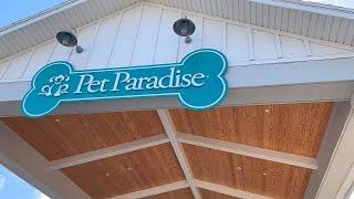 Pet Paradise Virtual Tour! | Boarding • Day Camp • Veterinary Care • Grooming