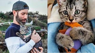 Husband Who Only Liked Dogs Becomes Dedicated Cat Dad 