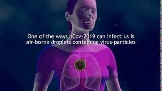 Coronavirus / COVID-19 infection animation