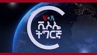 ፈነወ ድምጺ ኣመሪካ ቋንቋ ትግርኛ   VOATigrigna Daily Show 8 Oct. 2024