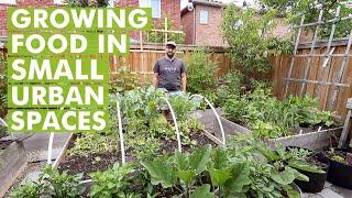 Growing Food in Urban Small Spaces - Urban Gardening