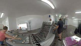 Broiler Breeder 360VR Tour