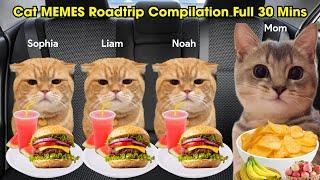 Cat MEMES Roadtrip Compilation Full 30 Mins