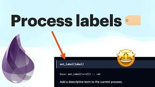 Elixir's new process labels!  #elixirlang #erlang