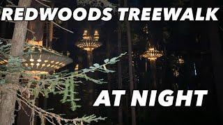 REDWOODS TREEWALK AT NIGHT | ROTORUA NEW ZEALAND | ROSE MAGZ