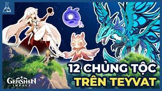 12 Chủng Tộc Trên Teyvat, Bọn Họ Là Ai? | Genshin Impact 4.2