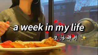 Travel as a vegetarian in Shenyang, China｜中国留学｜lots of vegan buffet｜winter break vlog｜吃遍沈阳素食馆