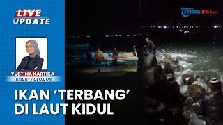 Fenomena Aneh Ribuan Ikan Laut Terbang ke Darat di Pesisir Pantai Selatan Cianjur, Berkah bagi Warga