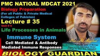 Lecture 35 Biology National MDCAT 2021 | Immune System, Immunity, B & T Lymphocytes, Immune Response