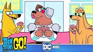 Teen Titans Go! | Animals Alive Part II | @dckids