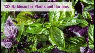 432 Hz Music for Garden Plants  Music To Stimulate Plant Growth