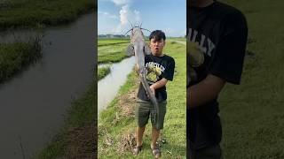 Mancing Di Rawa Rawa Dapat Ikan Lele Monster #mancing #mancingmania #mancingliar #rawarawa #lele