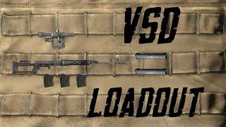 PvP best loadout silenced VSD? - Dayz