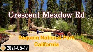 Crescent Meadow Rd, passing Auto Log, Moro Rock, Tunnel Log in Sequoia National Park, California