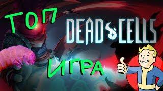 Гусеничка одобряет! // Dead Cells #1