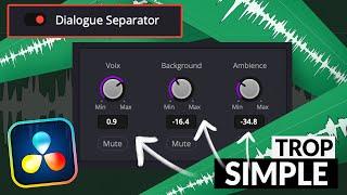 Mixer sa voix facilement avec le Dialogue Separator ! Davinci Resolve 19