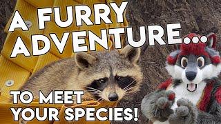 A Furry Adventure... To Meet Your Species!