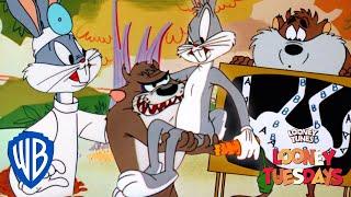 Looney Tuesday | Surprising Duo: Bugs Bunny & Tazmanian Devil | Looney Tunes | WB Kids