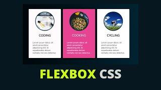 Create Beautiful and Responsive Cards with Flexbox CSS  | Flexbox Example 1 | Cards css html Flexbox