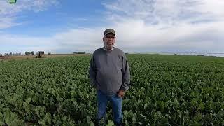 Do You Speak Farmer? Featuring Tom Machacek