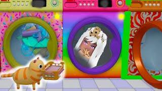 Cute Pets Do Laundry ( Simulator Game )