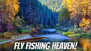 This River in Idaho has MILES of EASY Access & GORGEOUS Cutts!