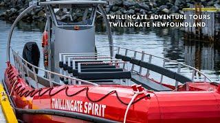 Discovering Newfoundland - Twillingate Adventure Tours Twillingate Newfoundland