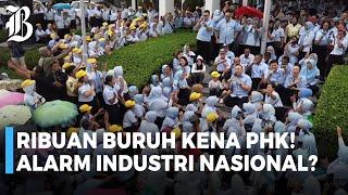 Sritex PHK Ribuan Buruh, Tim Kurator dan Wamenaker Angkat Bicara