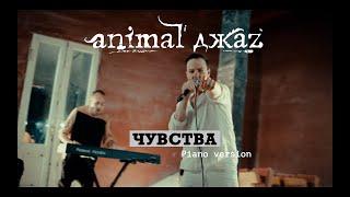 Animal ДжаZ — Чувства (Piano version, Live, 2024)