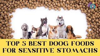 Top 5 Highly Recommended Dog Foods for Dogs with Sensitive Stomachs 2024