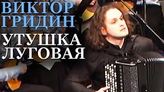 ГРИДИН - УТУШКА ЛУГОВАЯ | ЮРИЙ МЕДЯНИК И ОРКЕСТР НАРОДНЫХ ИНСТРУМЕНТОВ КУРСКОЙ ФИЛАРМОНИИ