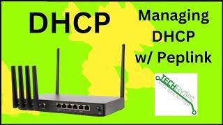 Peplink B One / B One 5G: How to manage DHCP