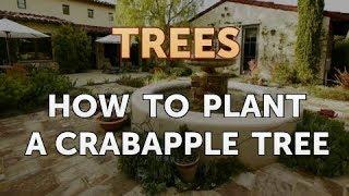 How to Plant a Crabapple Tree