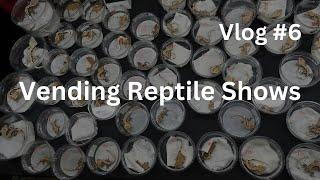 Vending Reptile Shows | Vlog #6 of Zero's Geckos