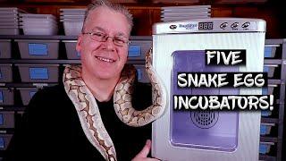 Five Types of Reptile Egg Incubators, From Expensive to Cheap and Easy to Make!