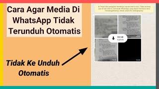 Cara Agar Media WhatsApp Tidak Terunduh Otomatis ( Video, Foto, Mp3, Dokumen, DLL... )