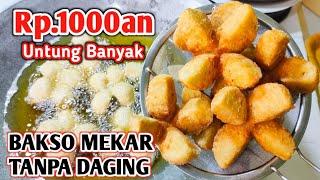 TANPA AYAM!! BEGINI CARA MEMBUAT BAKSO GORENG YANG ENAK ANTI ALOT || DIJUAL RP.1000AN UNTUNG BANYAK