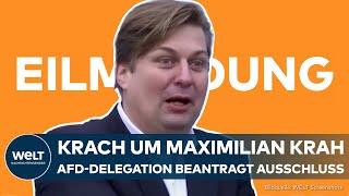 MAXIMILIAN KRAH: AfD-Delegation im Europaparlament beantragt Fraktionsausschluss | EILMELDUNG