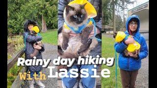 Rainy day hiking with Lassie at Larrabee state park || Washington USA.