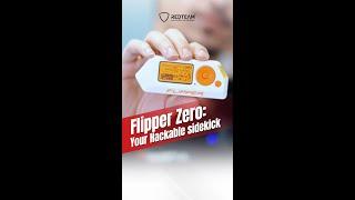 Flipper Zero | Your Hackable Sidesick | RedTeam Hacker Academy