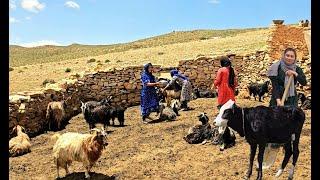 Daily life of shepherd girls | Cooking style | Thelife of girls in the most remote village