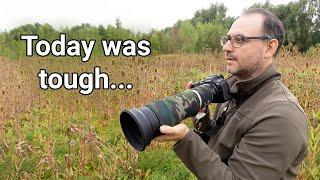 Wildlife Photography Doesn't Always Go to Plan - Visiting a Nature Reserve on a Dull Day