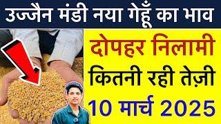 Ujjain Mandi Gehu Ka Bhav | Wheat Price Today | Ujjain Mandi Bhav Today | 010