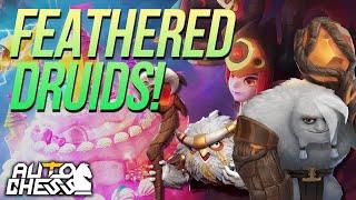 Auto Chess on PC! Trying Out Feathered Druids! | Auto Chess | Savjz