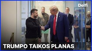 Iš esmės. Kokį taikos planą Ukrainai gali pasiūlyti Trumpas?