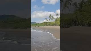 Pacific Coast of Costa Rica Follow me for everyday travel #shorts #travel #beach #nature