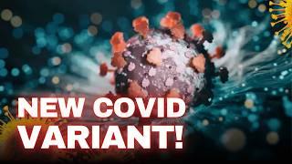 Doctors Warn New Covid XEC Variant is More Contagious Than Ever