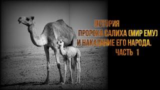 История Пророка Салиха (мир ему) И Наказание Его Народа .Часть  1