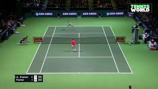 Alexander Zverev vs David Ferrer  2018 ROTTERDAM R1 Highlights