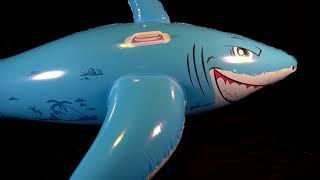 Deflating Blue Inflatable Shark